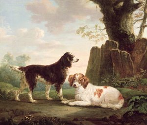 Deux épagneuls dans un paysage